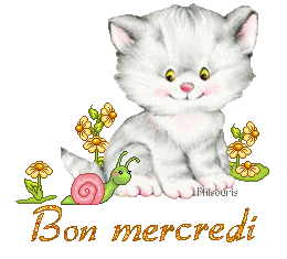 cute cat 1990